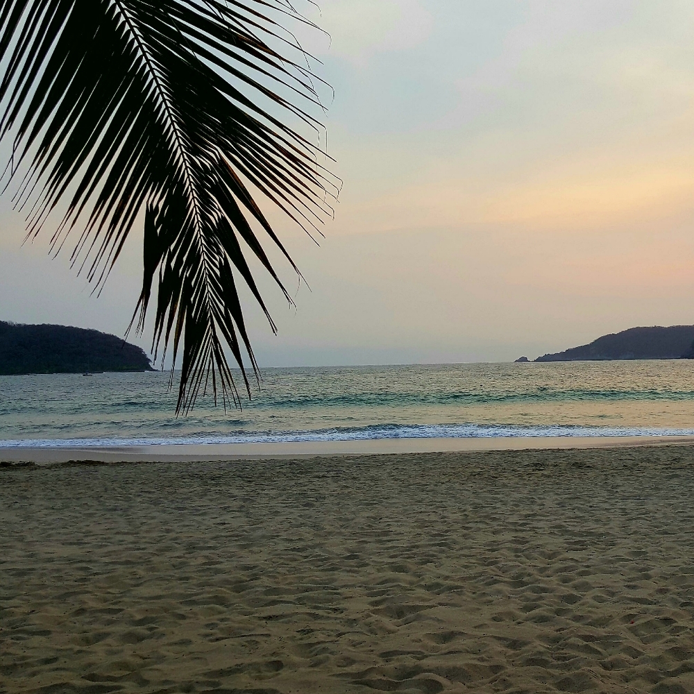 Meet your Posher, Vickie